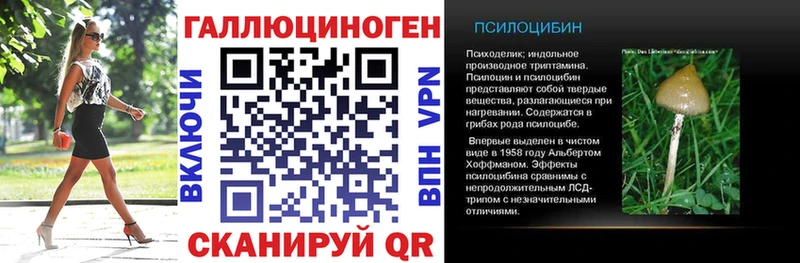 Галлюциногенные грибы мухоморы  купить наркотик  Снежногорск 